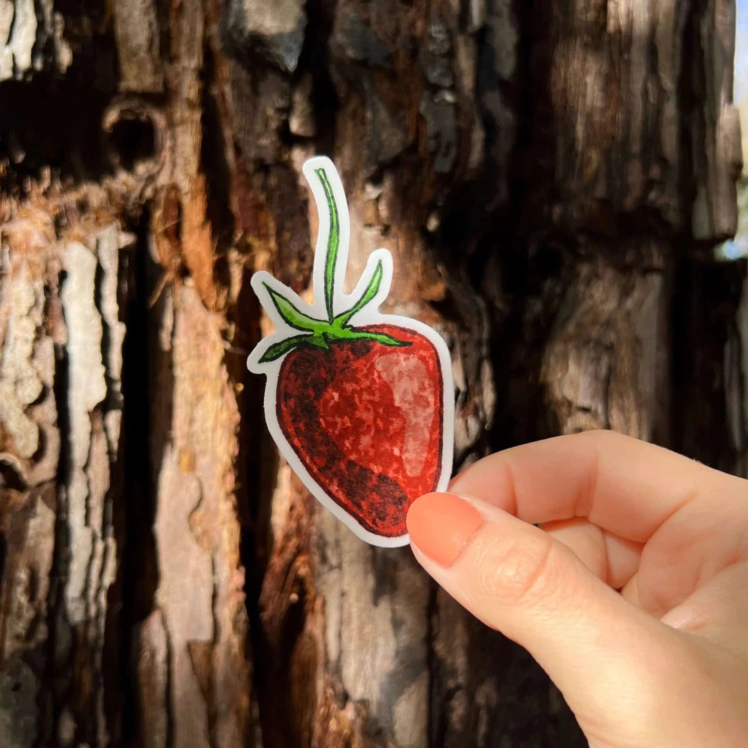 Strawberry Photo