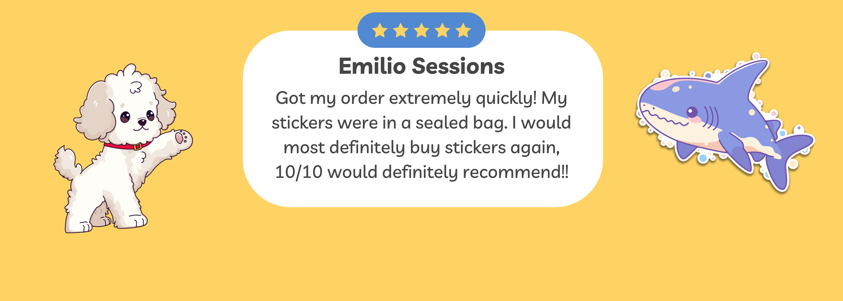5 Star Review from a customer