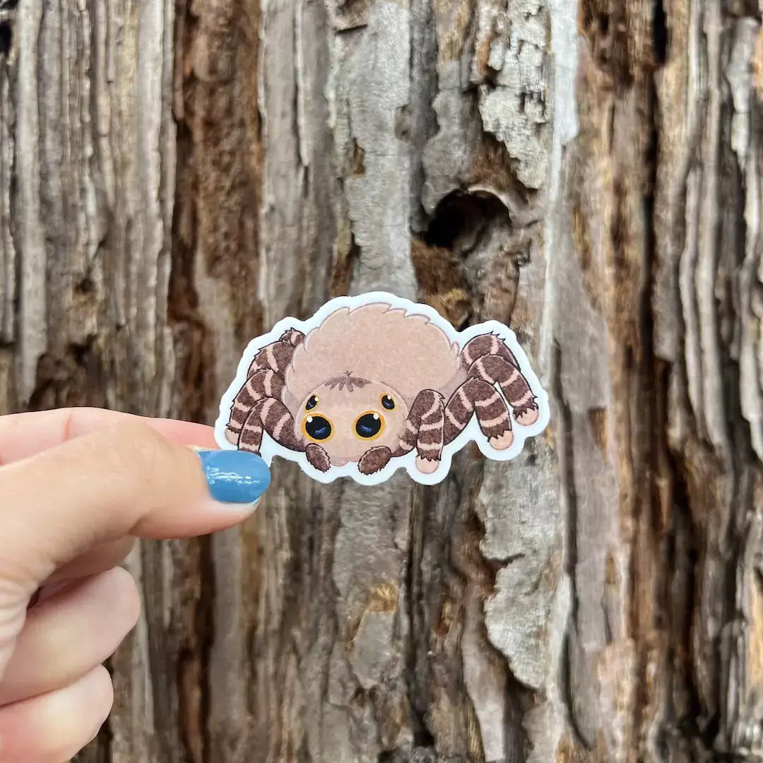 Jumping Spider Sticker