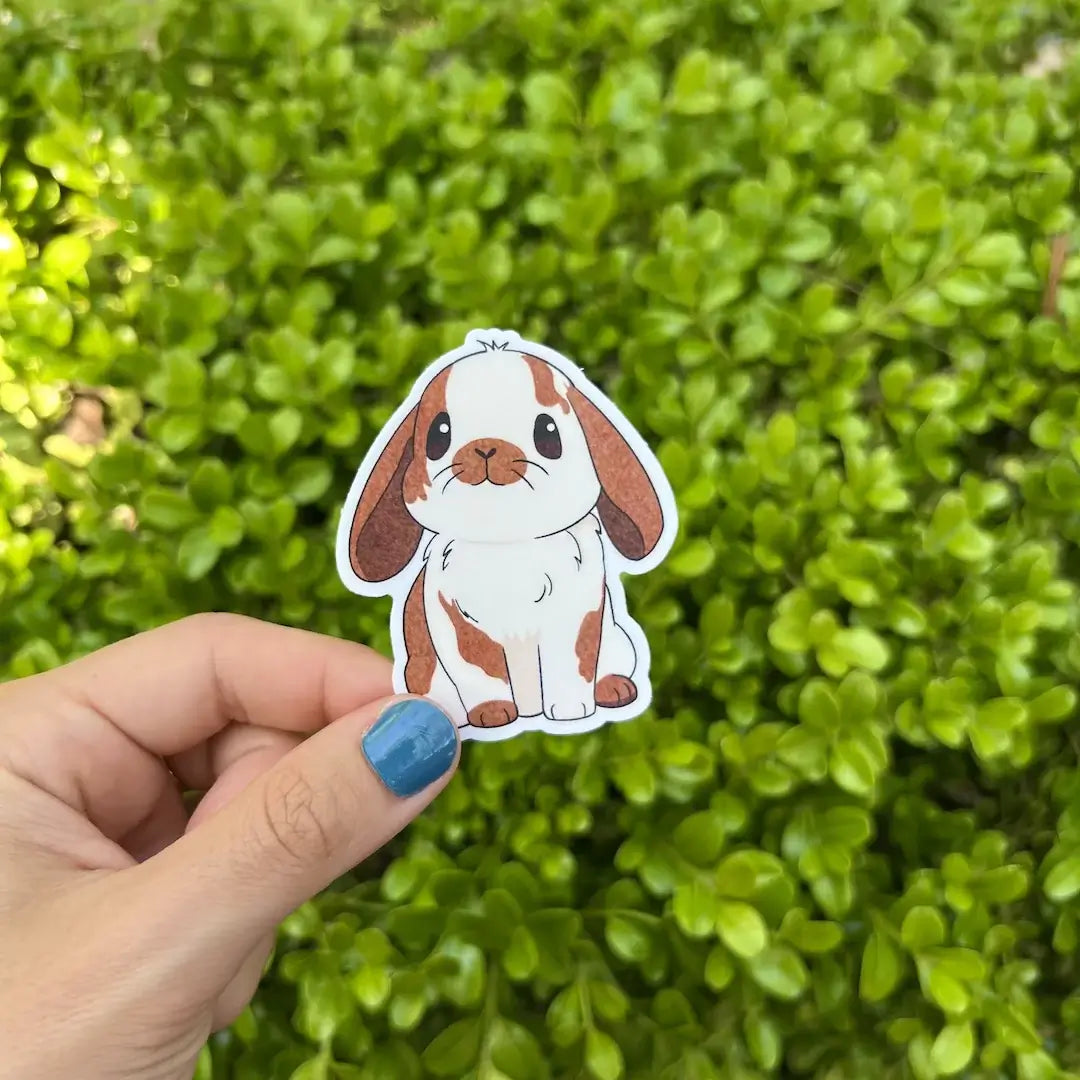 Beige Holland Lop Sticker