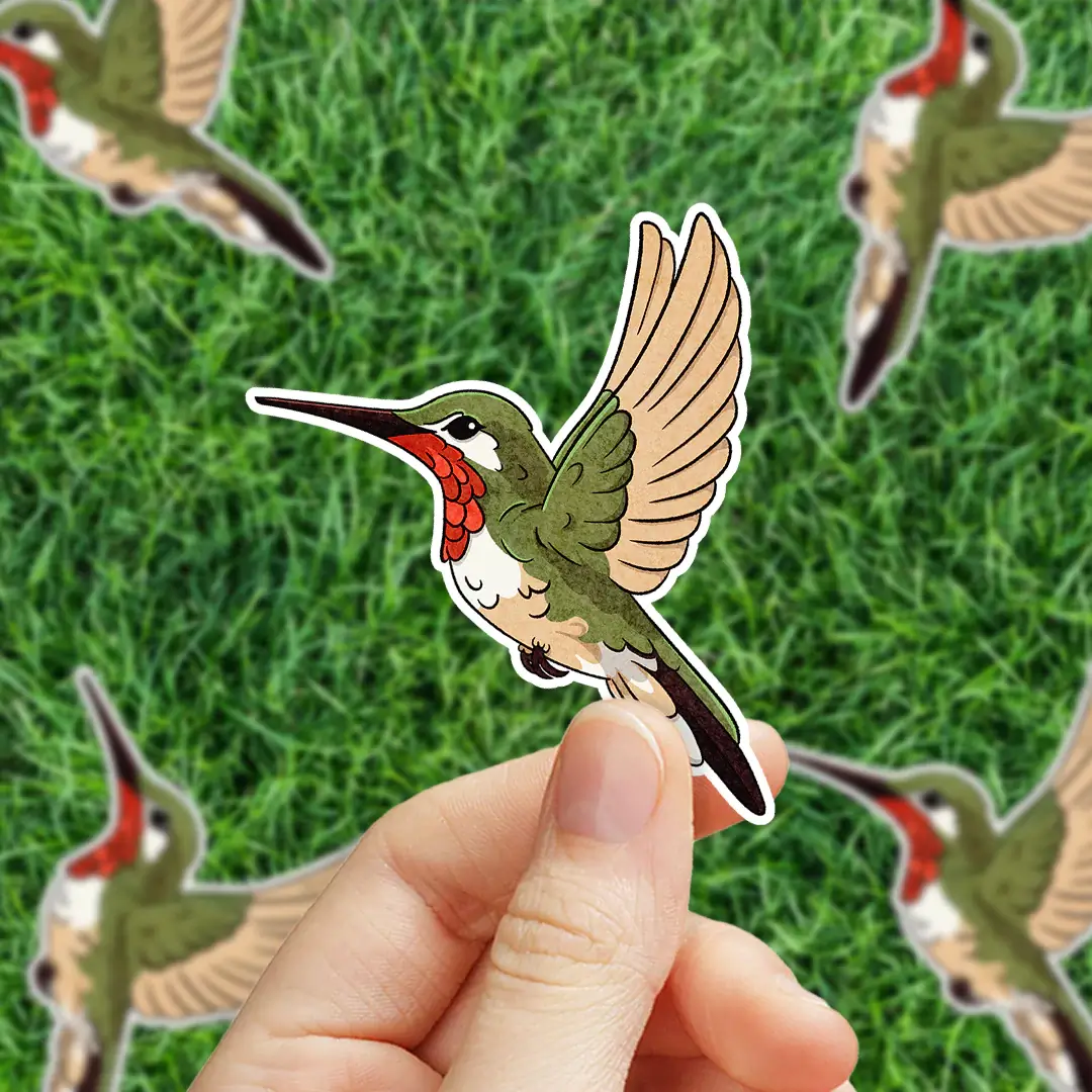 Ruby Throated Hummingbird Sticker