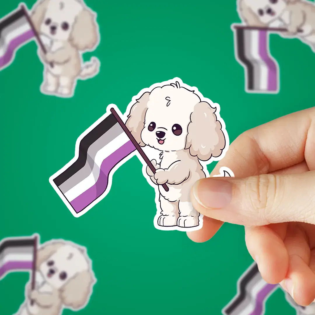 Finn Asexual Flag Sticker