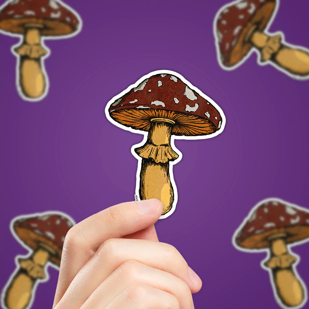 Cozy Mushroom Sticker Fall Red