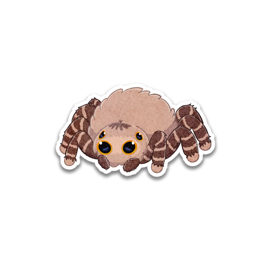 Jumping Spider Sticker