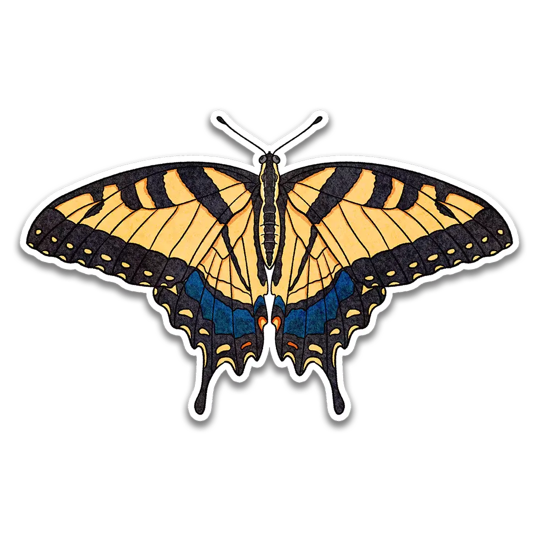 Yellow Blue Eastern Tiger Swallowtail Sticker