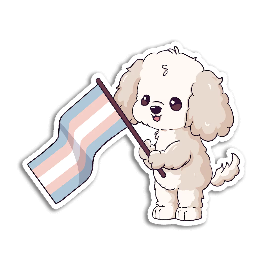 Finn Transgender Pride Flag