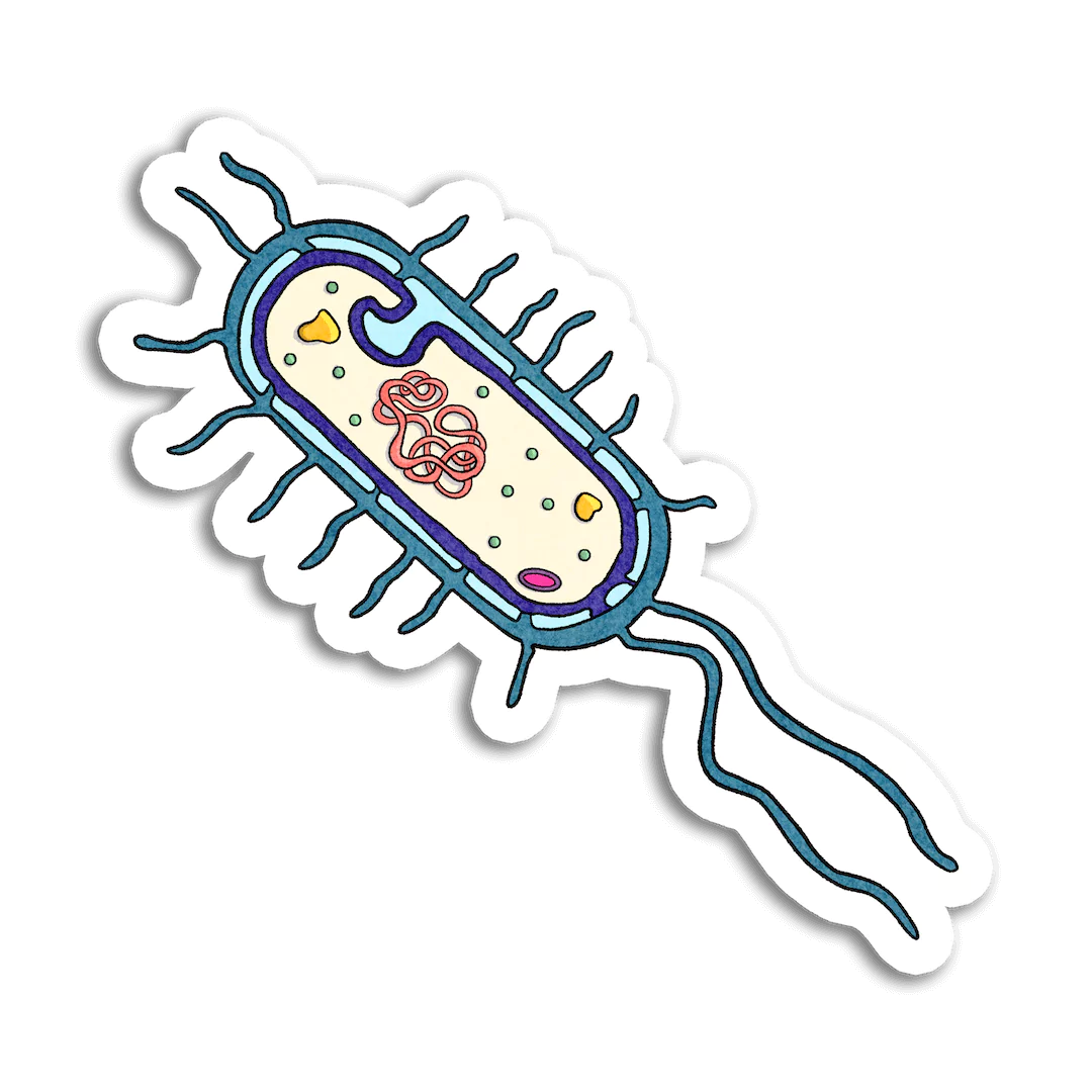 bacteria cell sticker