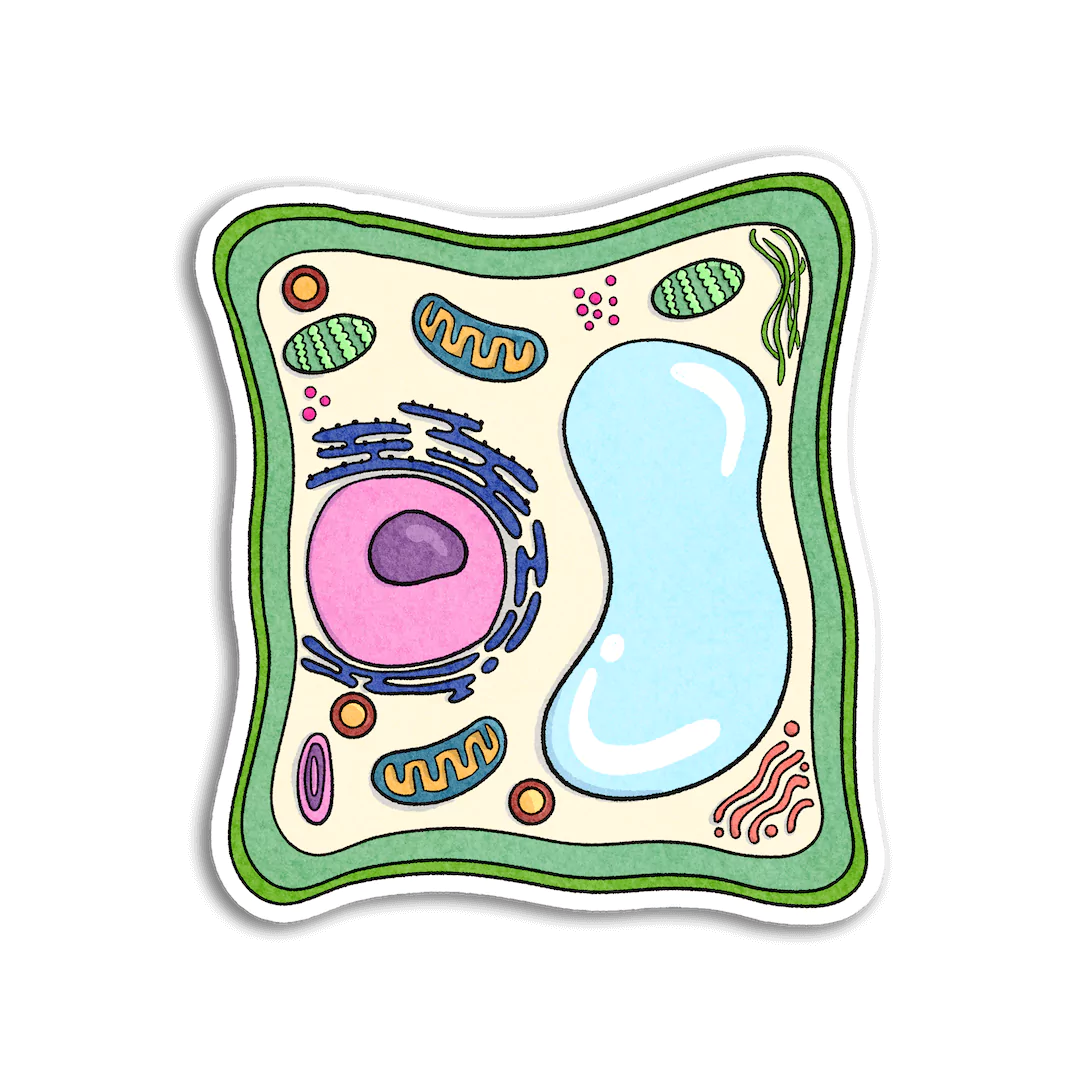 Plant Cell Sticker